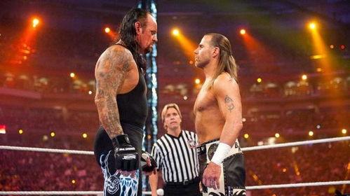 wwe食虫者vs送葬者视频,食虫者与送葬者生死之战