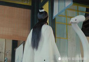 白蛇现原形视频,揭秘千年传说背后的神秘真相