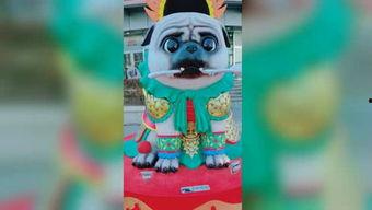 国产小青蛙视频在哪看,热门平台一网打尽
