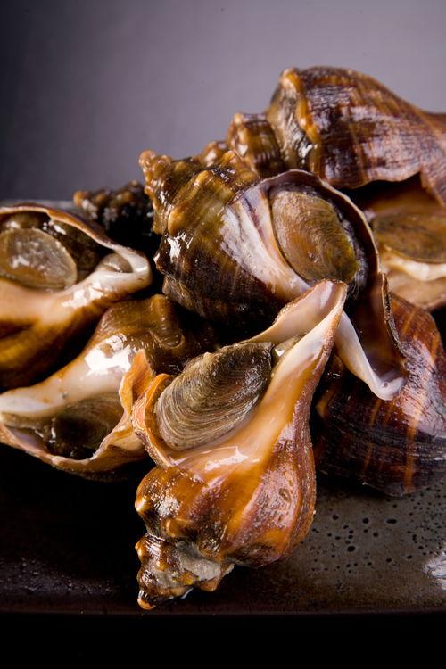 海螺做法视频,传统技艺与现代创意的完美融合