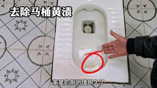 座便器正确安装视频,轻松掌握正确安装步骤