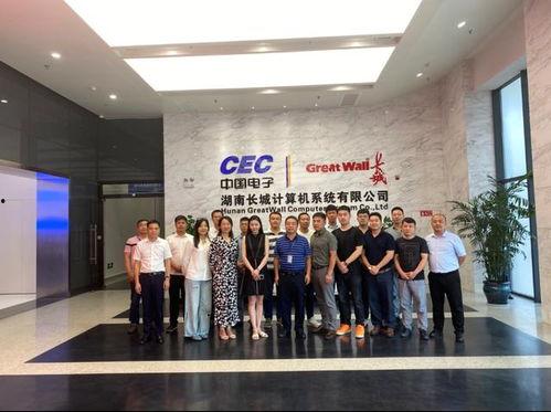 亮剑团队培训视频,锻造卓越团队精神的实战指南