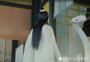 白蛇现原形视频,揭秘千年传说背后的神秘真相