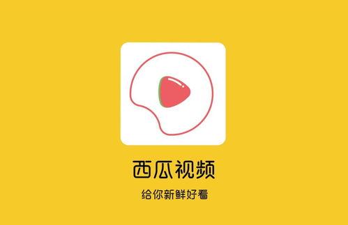 西瓜视频怎么拍视频,轻松制作高质量短视频