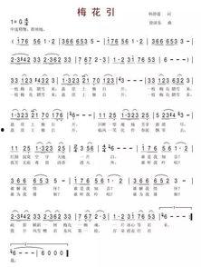 梅花引视频,穿越时空的美丽旋律