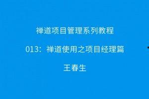禅道使用教程视频,轻松掌握项目管理与协作技巧
