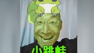 快乐小跳蛙视频,欢快跳跃的童年记忆