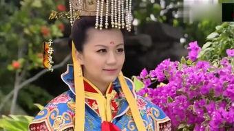 戏说台湾花母树视频,台湾古树文化的戏说之旅