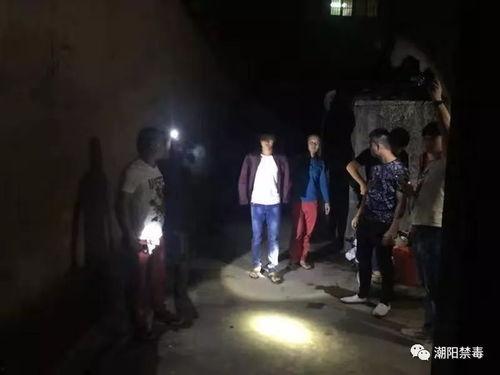 真实抓捕现场视频